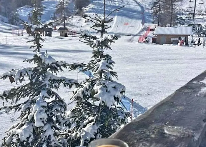 Appartement Sur Le Parc Des Ecrins